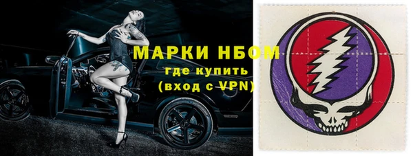 прущие грибы Ладушкин