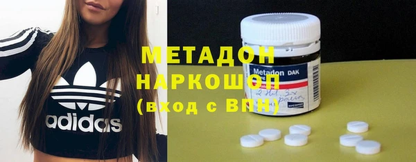 прущие грибы Ладушкин