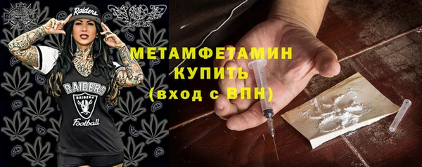 прущие грибы Ладушкин