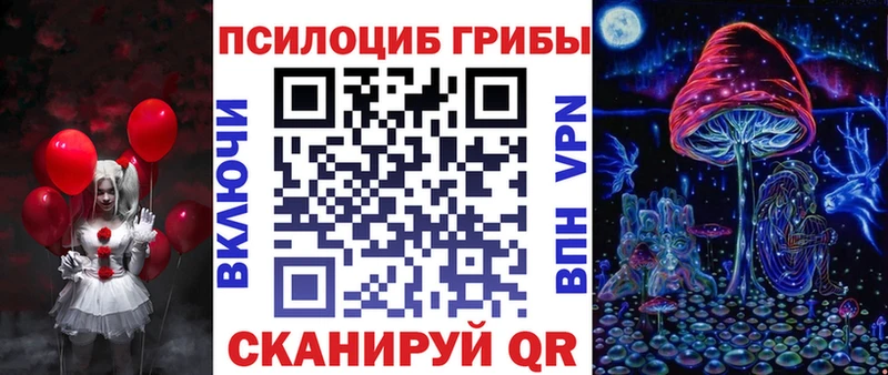 Галлюциногенные грибы Psilocybine cubensis  как найти закладки  blacksprut ссылка  Чудово 