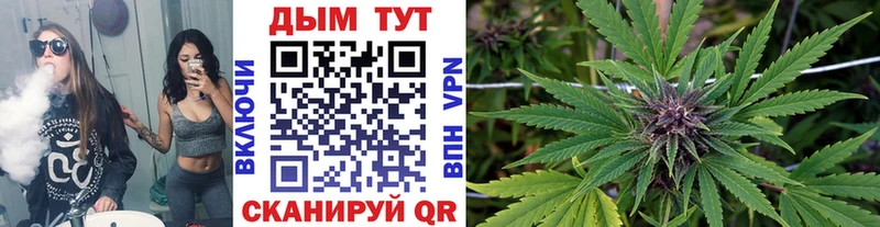 где купить наркоту  Чудово  kraken ссылки  сайты даркнета формула  Конопля Ganja 